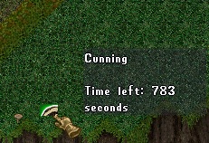 Buff5.jpg