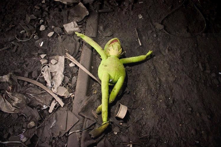 FROG.jpg